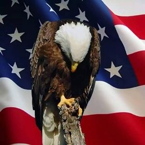 Meet your Posher, Kenneth